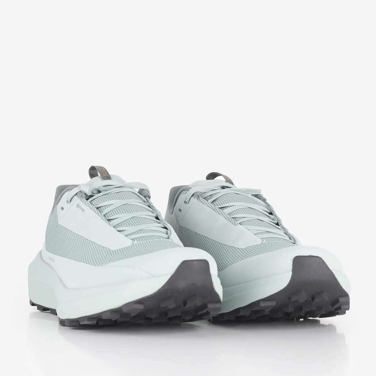#1 Best Seller: Arc'teryx Norvan LD 4 GTX Shoes  Last Chance!