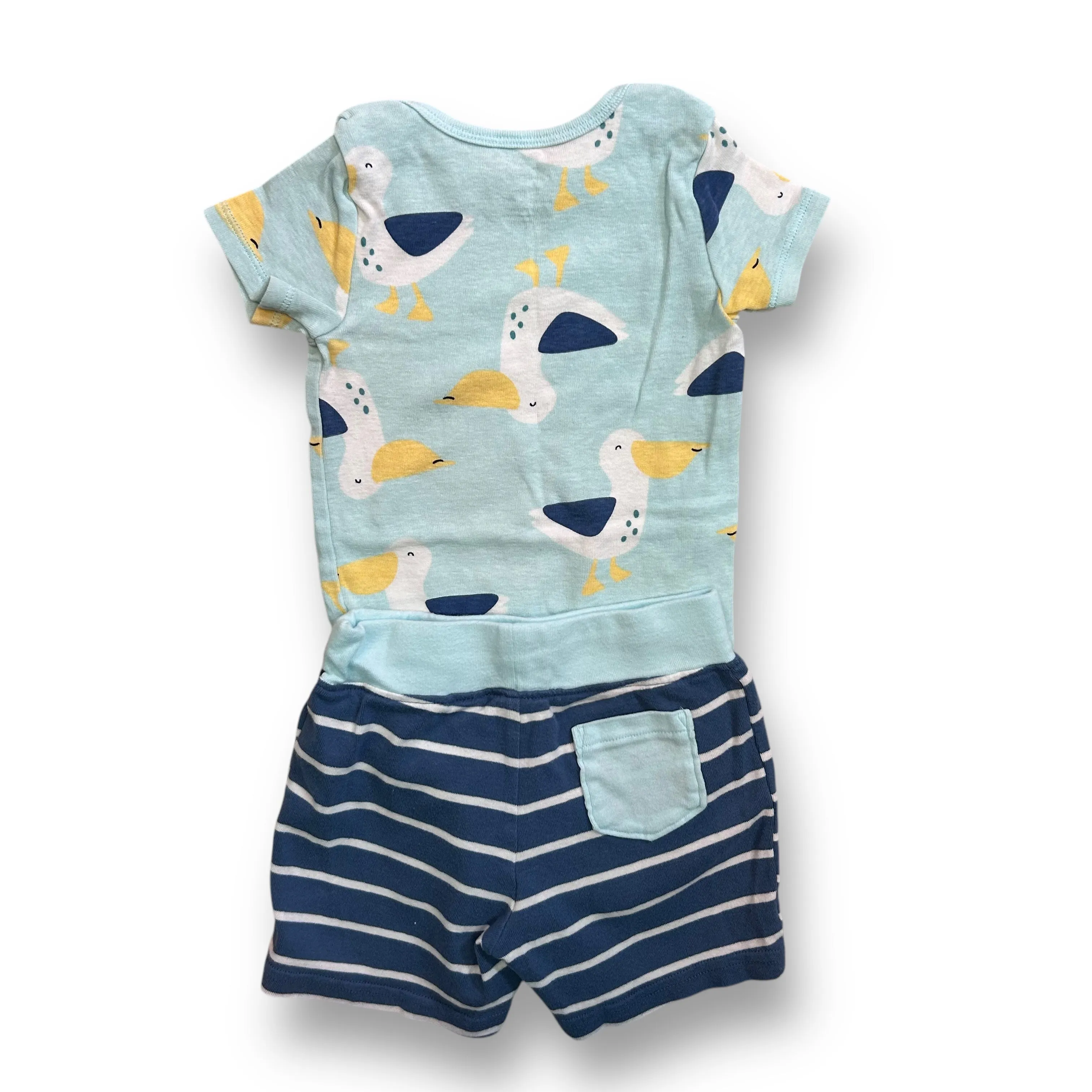 Boys Carter's Size 18 Months Blue Pelican Snap Bottom Tee & Shorts