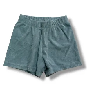 Boys H&M Size 3T Sage Terry Fabric Elastic Band Shorts