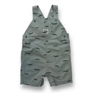 Boys Just One You Light Green Alligator Snap Bottom Shortalls