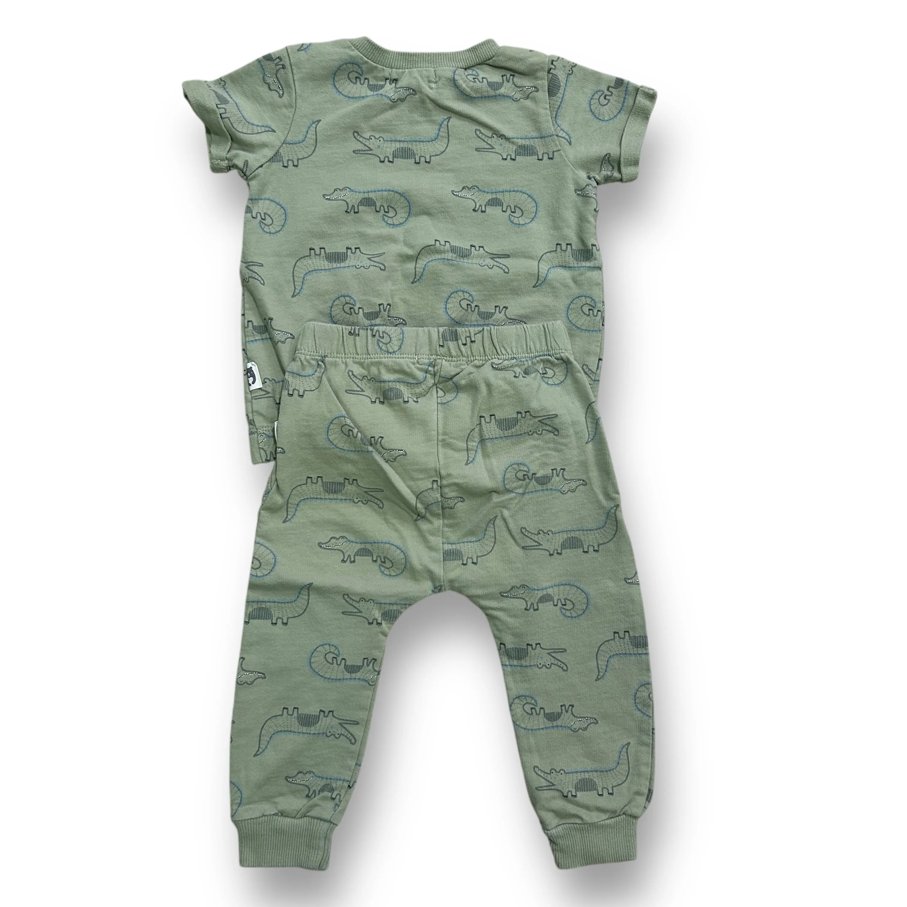 Boys Rabbit   Bear Size 18 Months Sage Green 2-Pc Crocodile Outfit