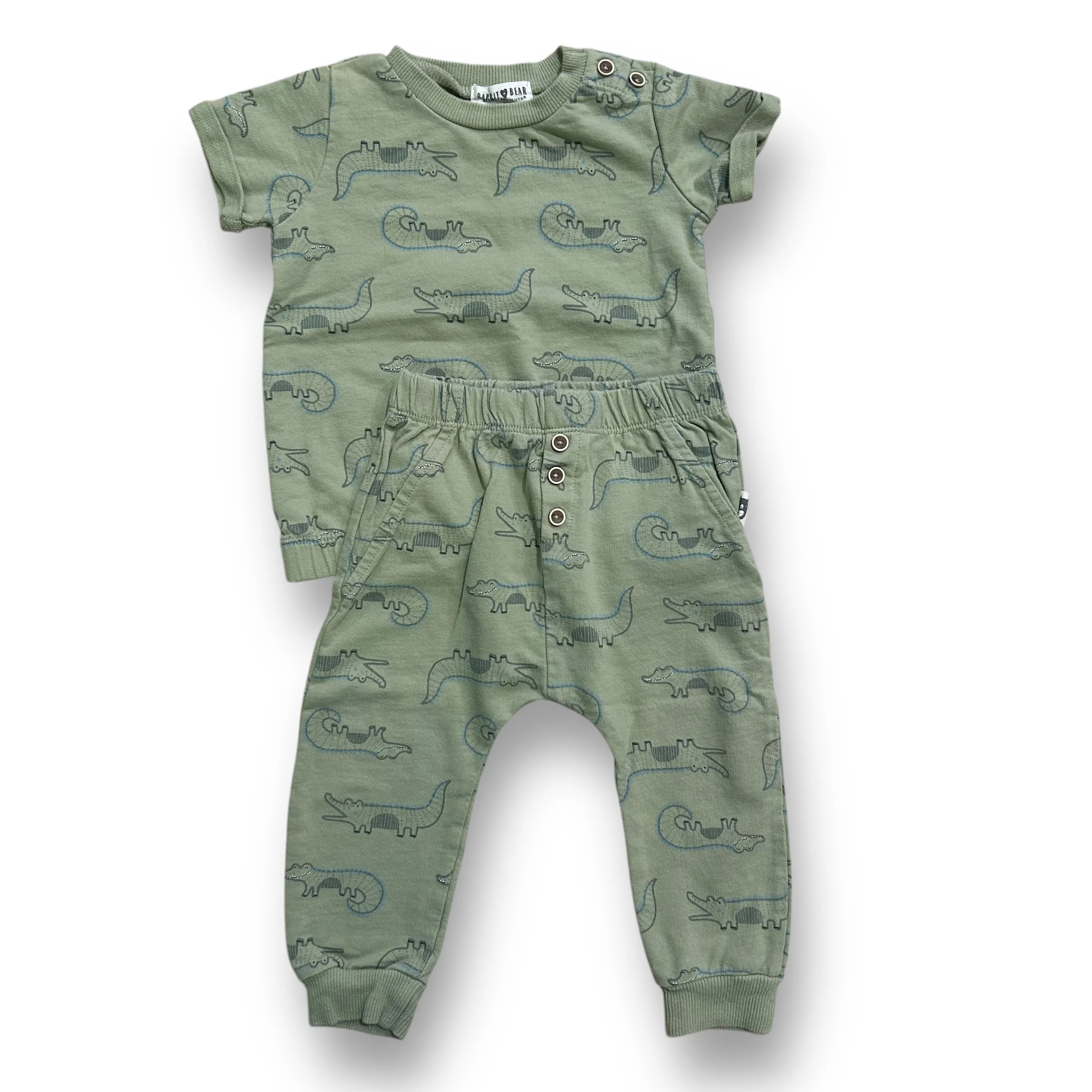Boys Rabbit   Bear Size 18 Months Sage Green 2-Pc Crocodile Outfit