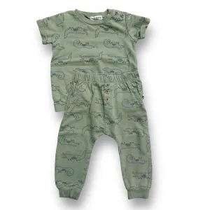 Boys Rabbit   Bear Size 18 Months Sage Green 2-Pc Crocodile Outfit