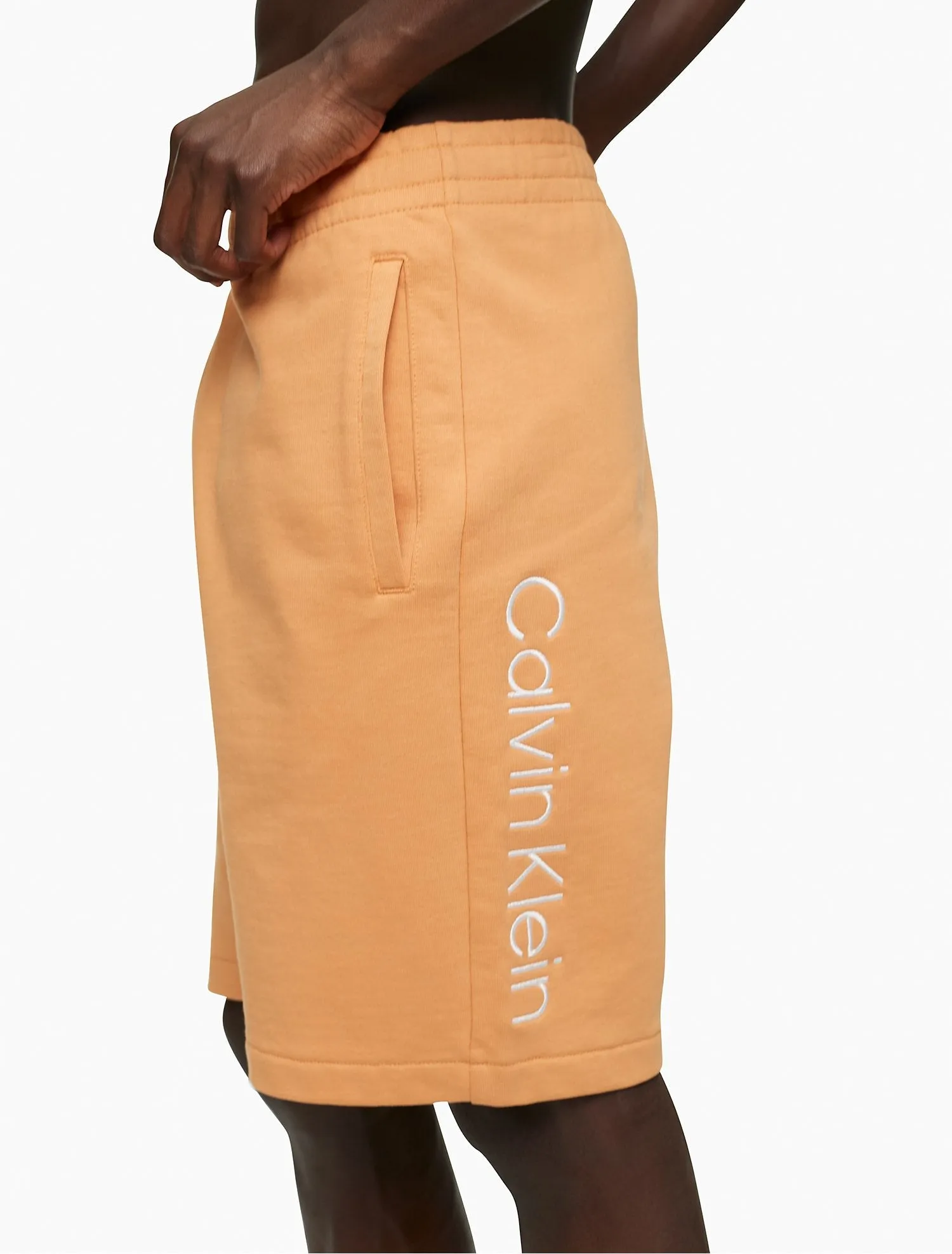 Calvin Klein Standard Logo Shorts - Men