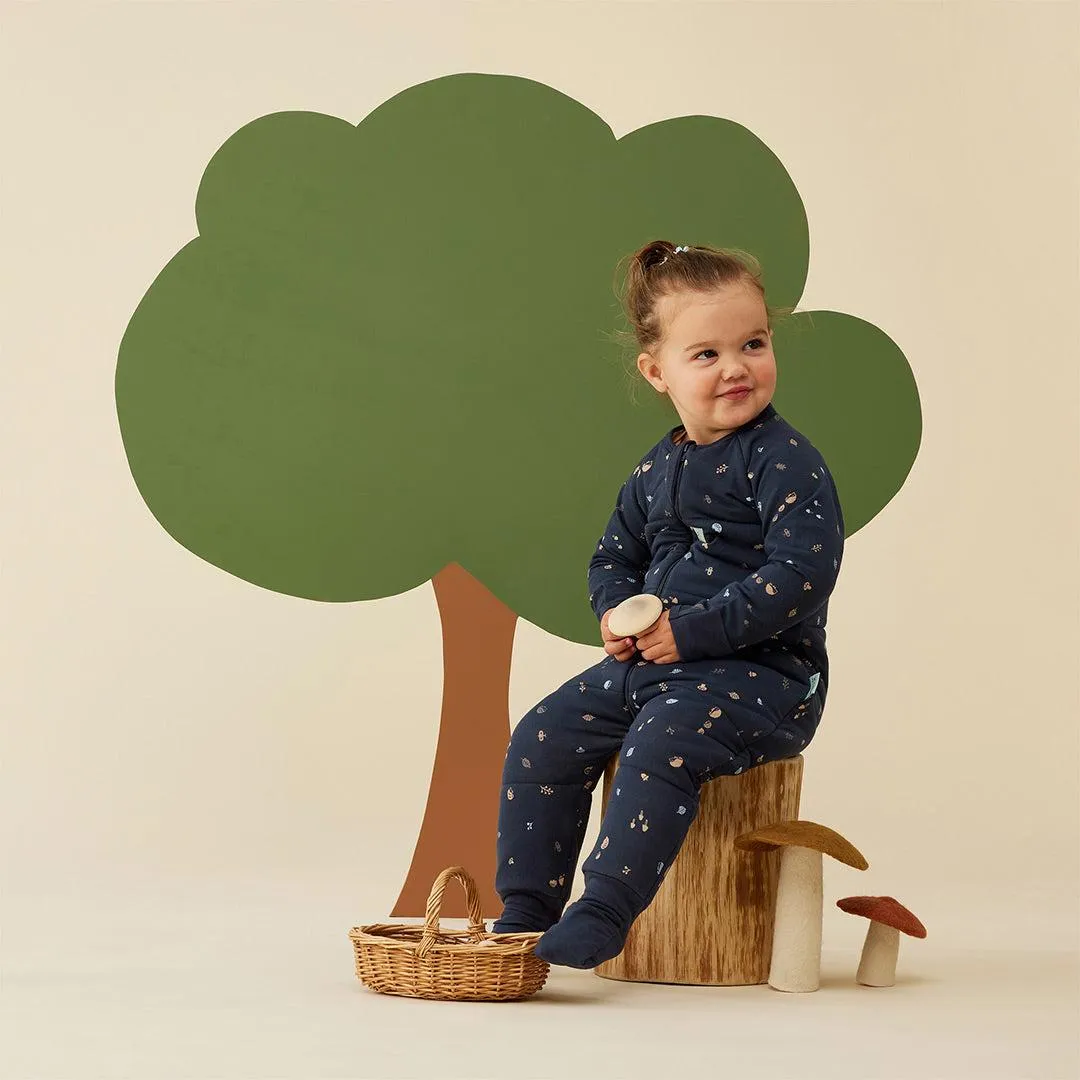 ergoPouch Organic Winter Long Sleeved Sleep Onesie - 3.5 TOG - Hedgehog
