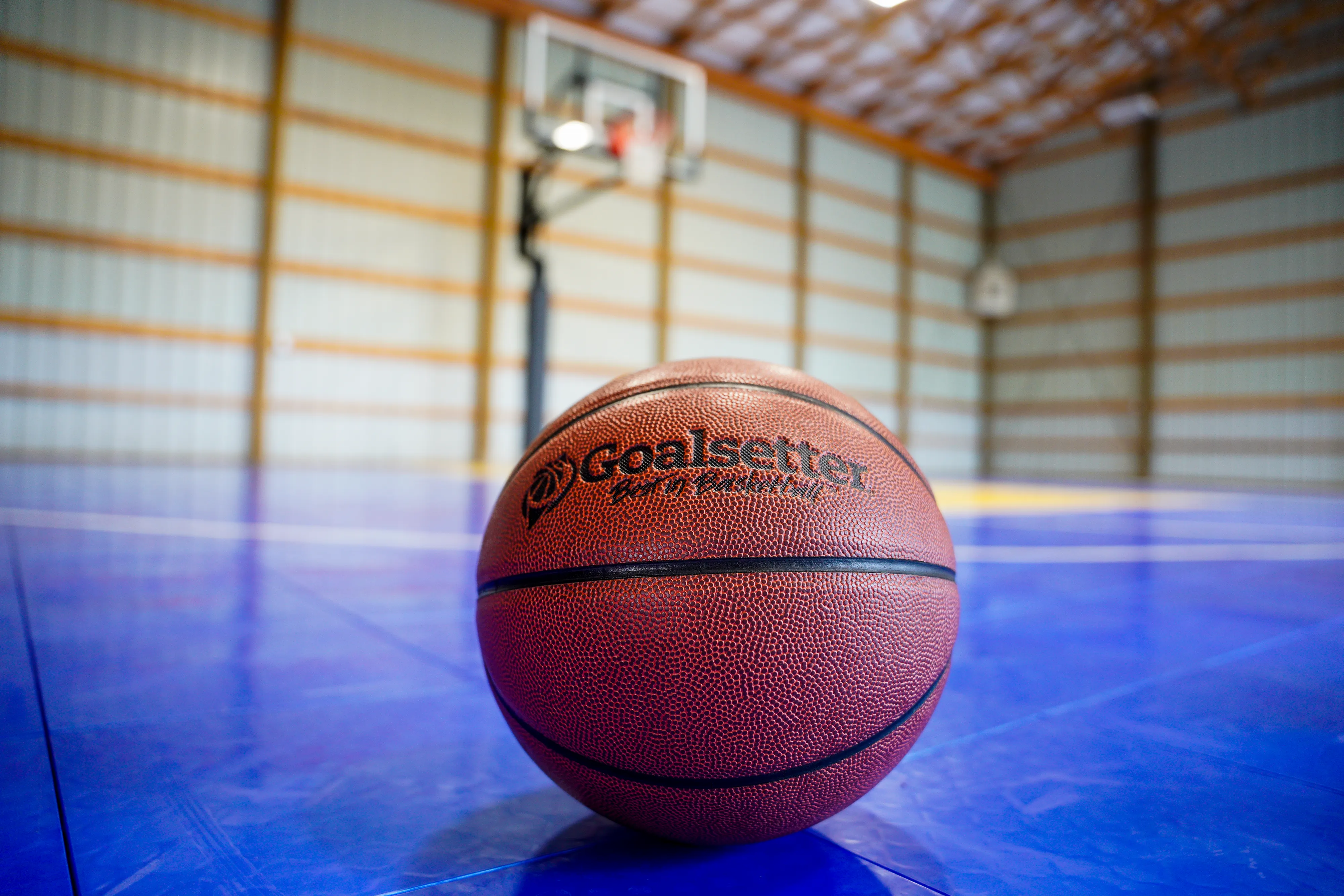 Indoor/Outdoor Basketball Ball  29.5" Goalsetter