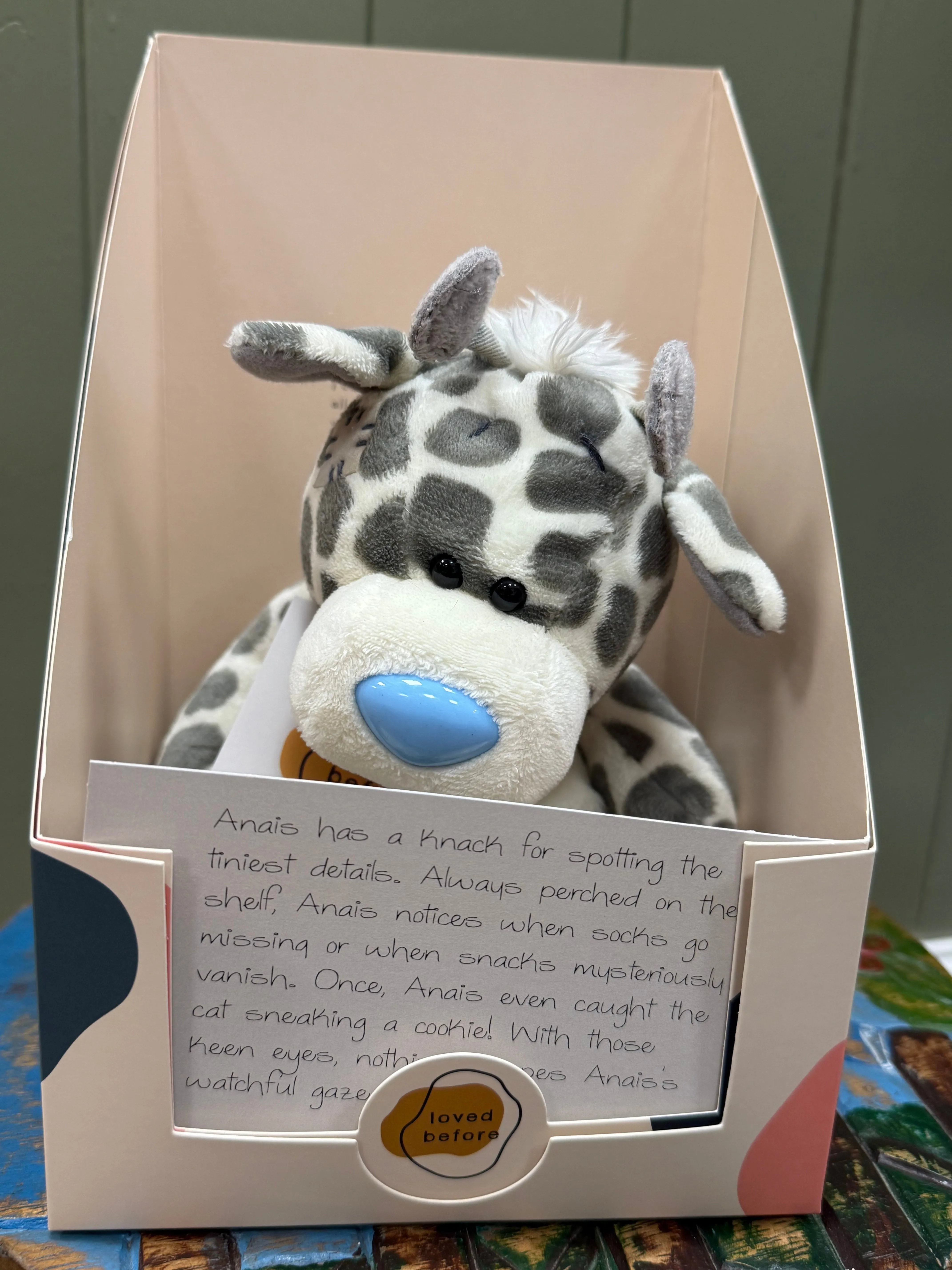 Loved before Anais cow