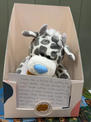Loved before Anais cow