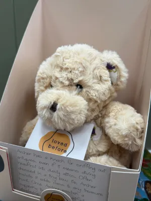Loved before Archer bear