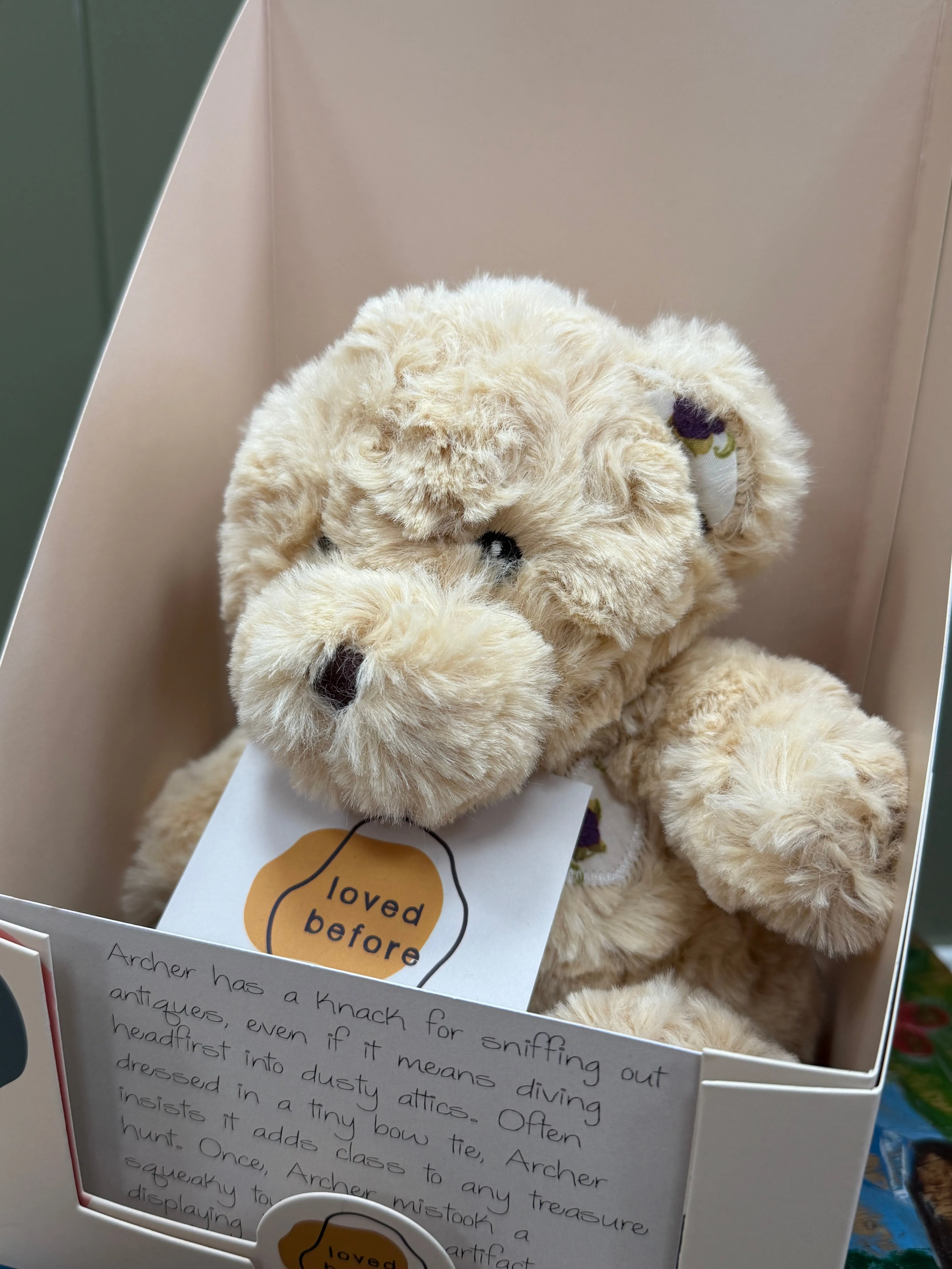 Loved before Archer bear