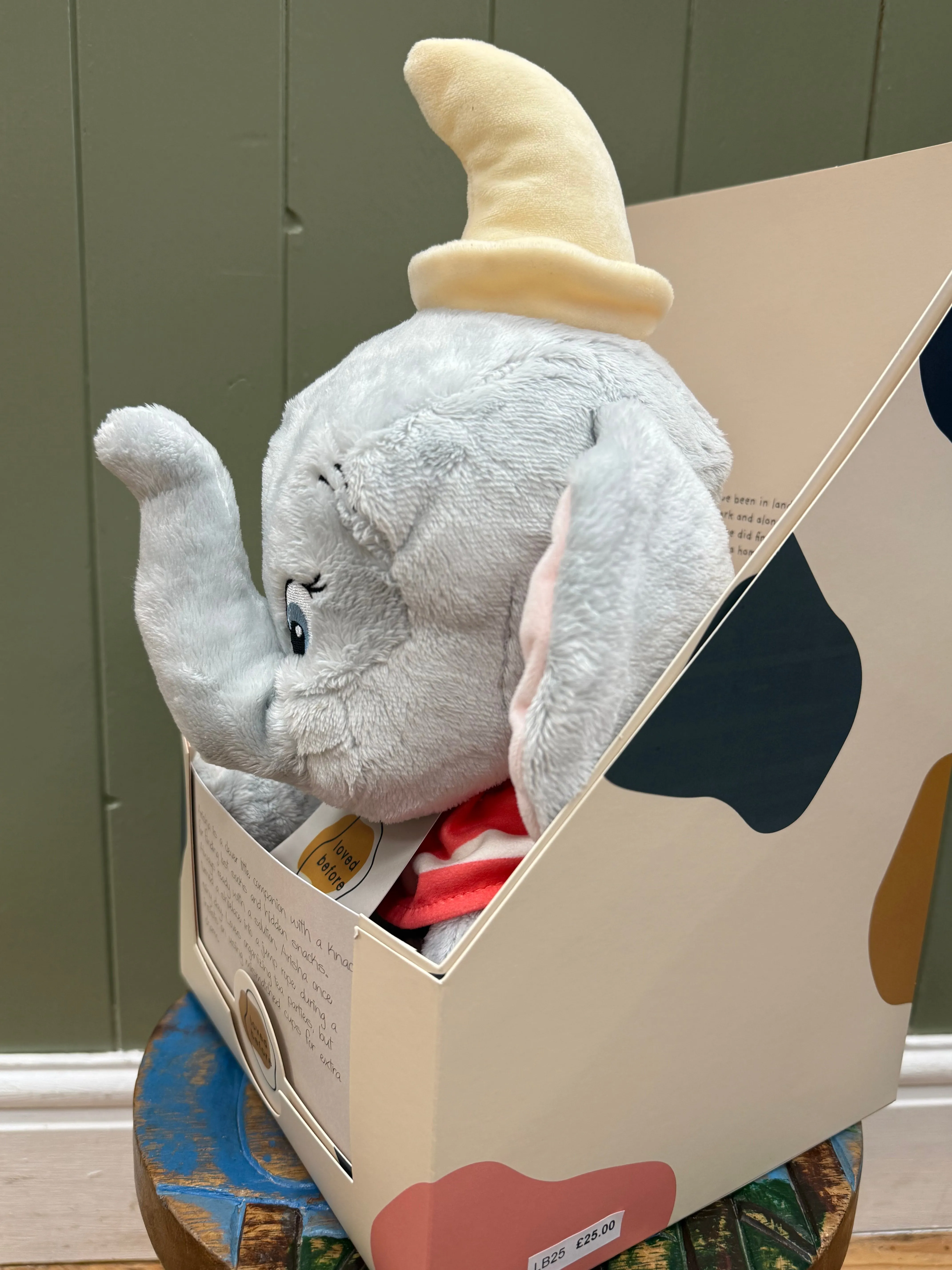 Loved before Arisha elephant