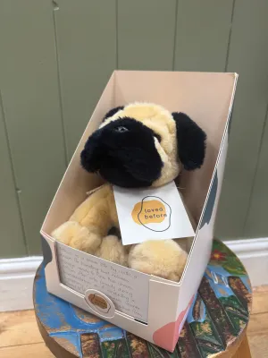 Loved before Atticus dog