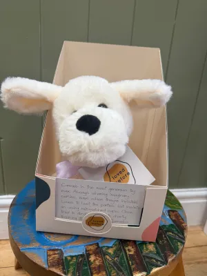 Loved before Carmelo dog