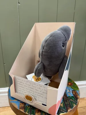 Loved before Elena dolphin