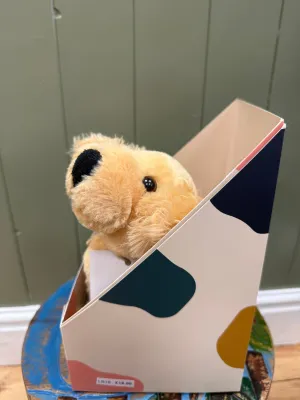 Loved before June dog