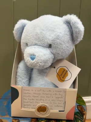 Loved before Kieran bear