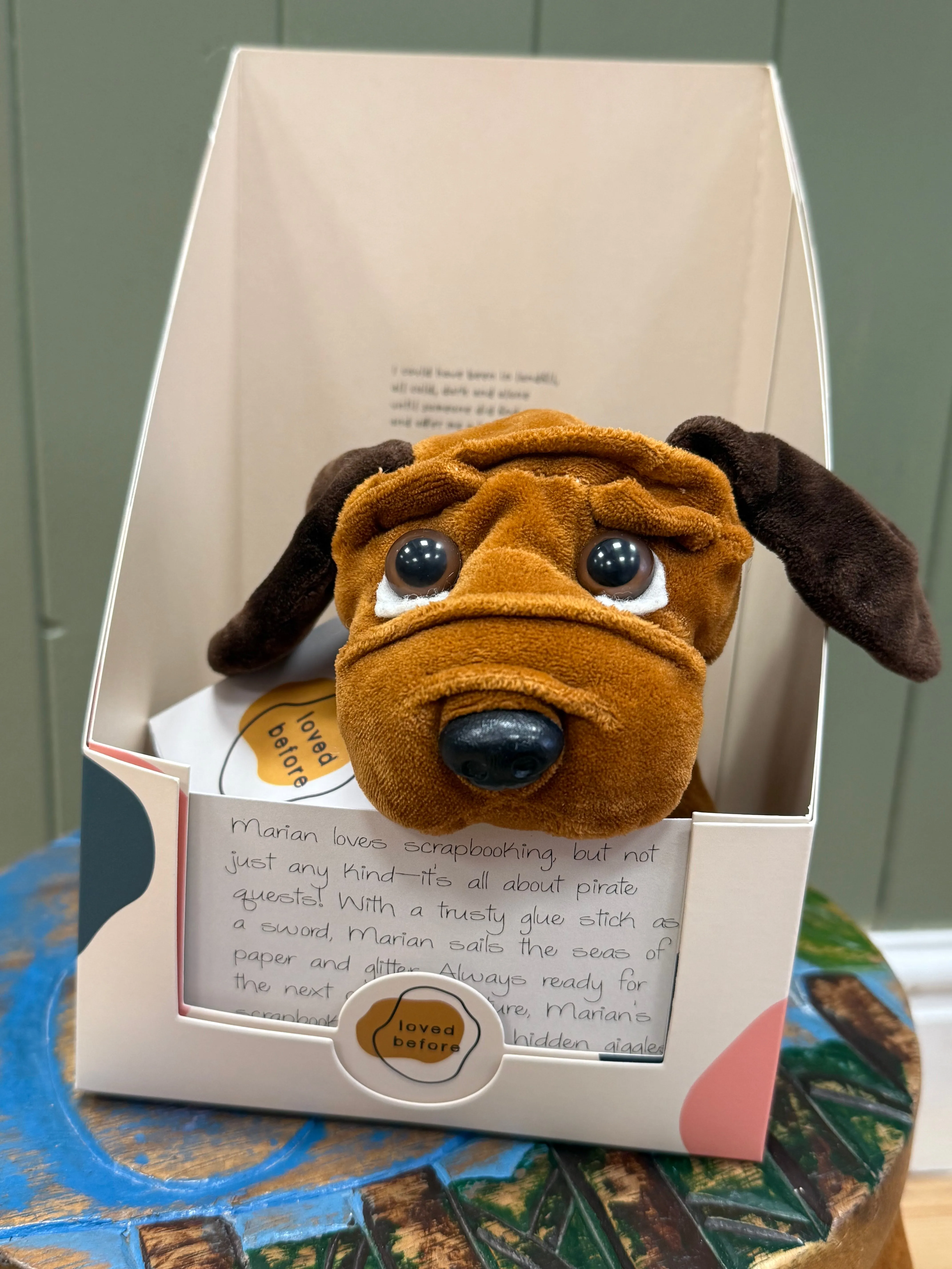 Loved before Marian Dog