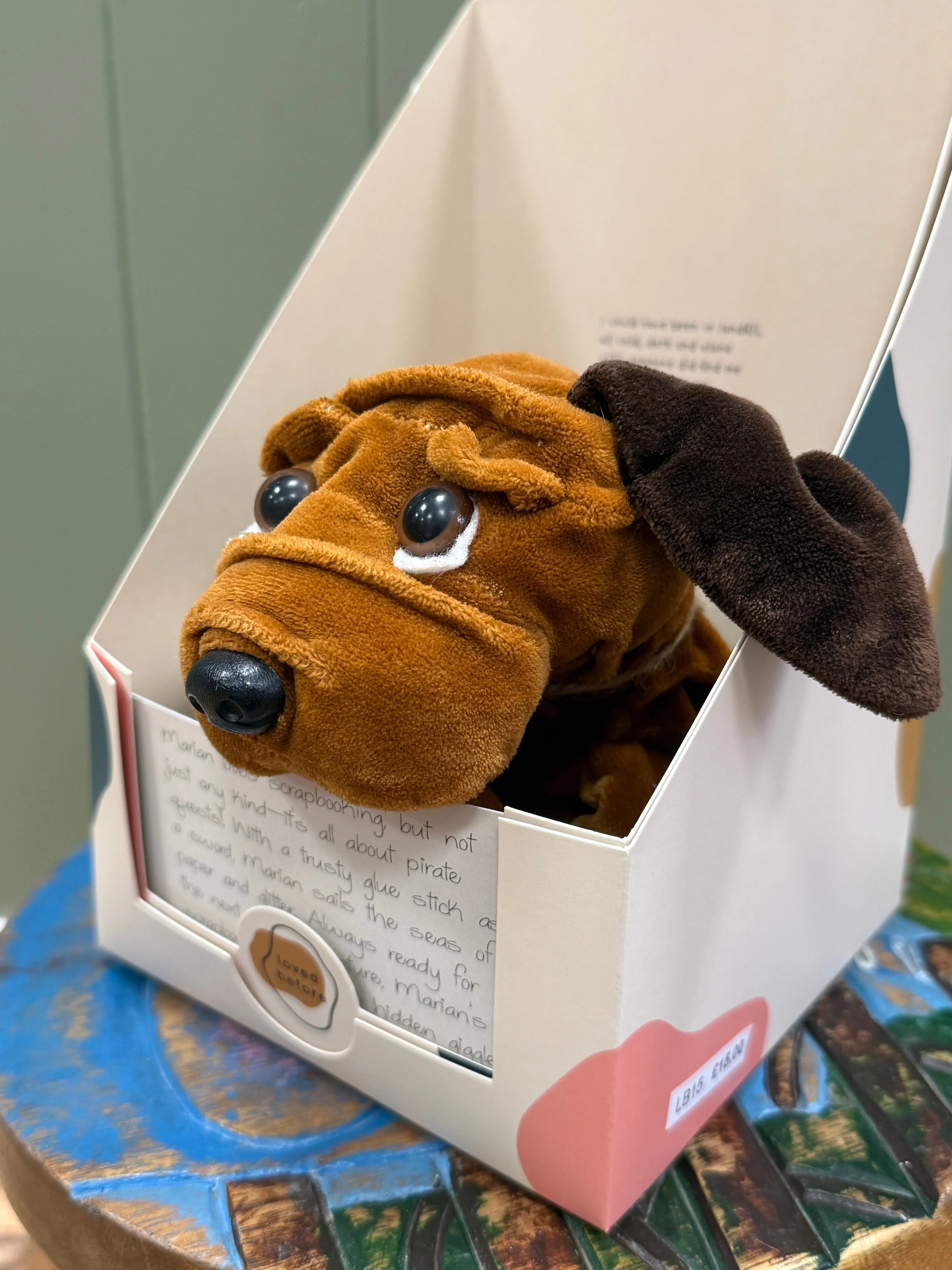 Loved before Marian Dog