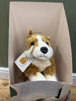 Loved before Royal Dog