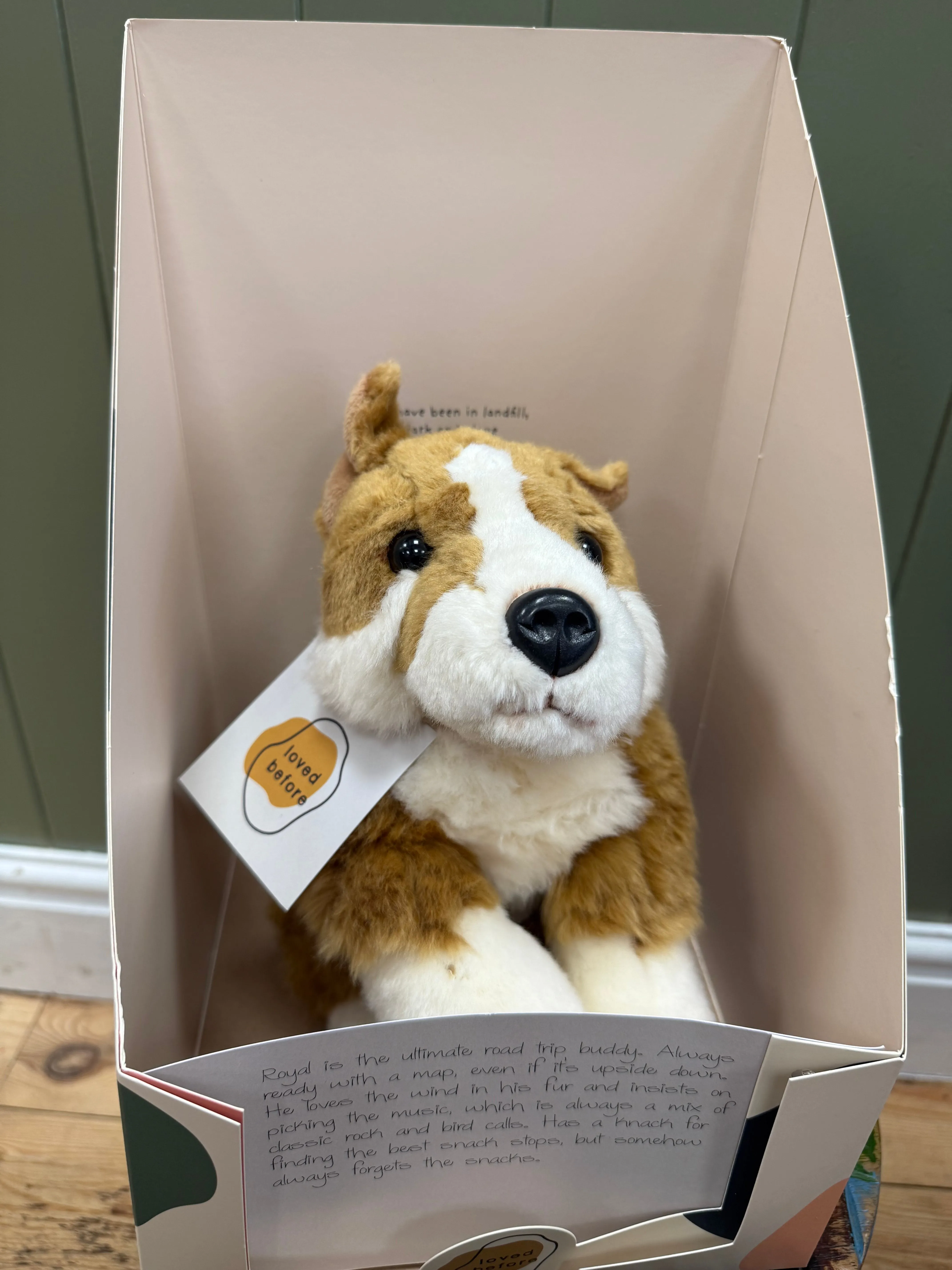 Loved before Royal Dog