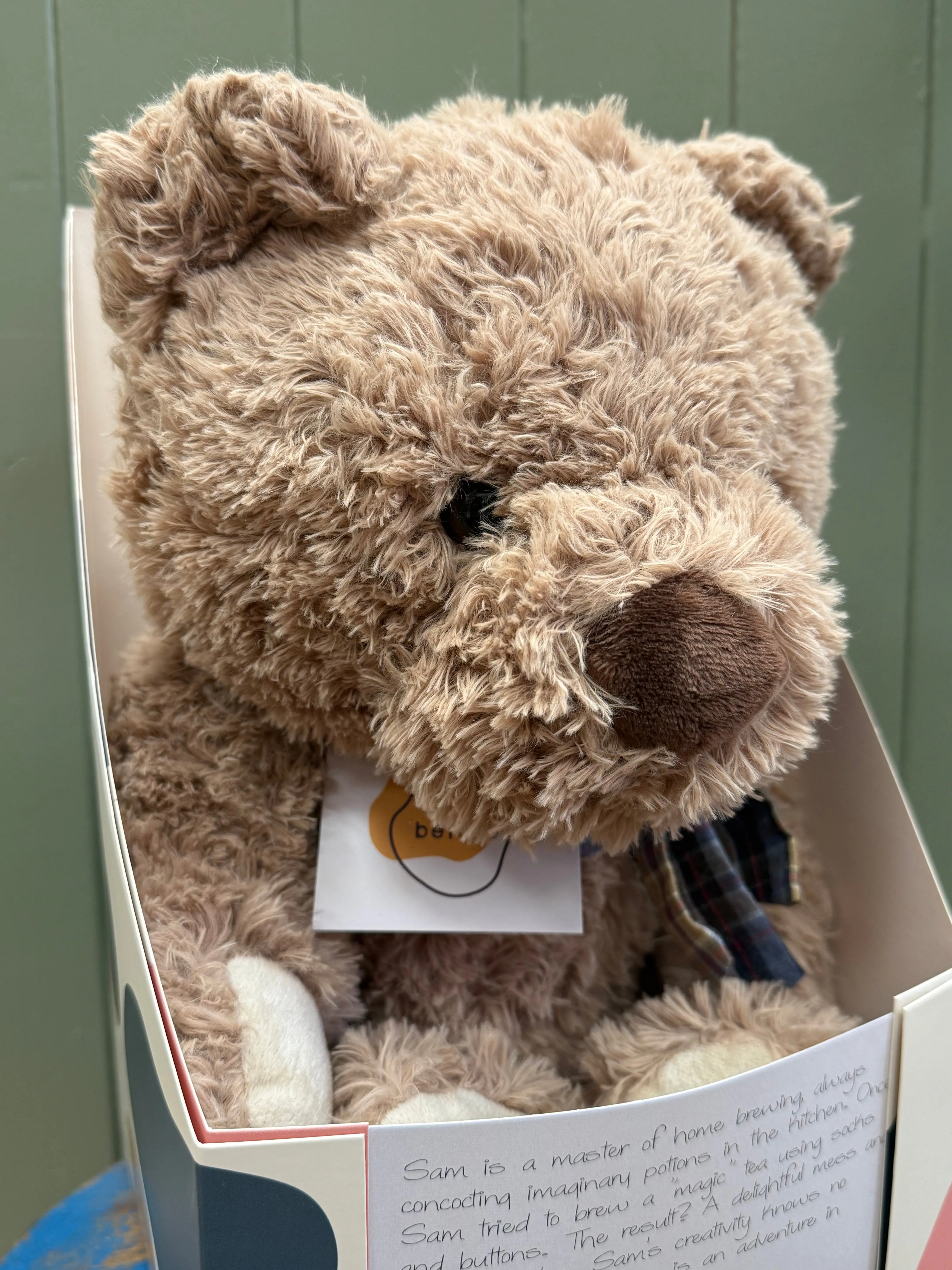 Loved before Sam Bear