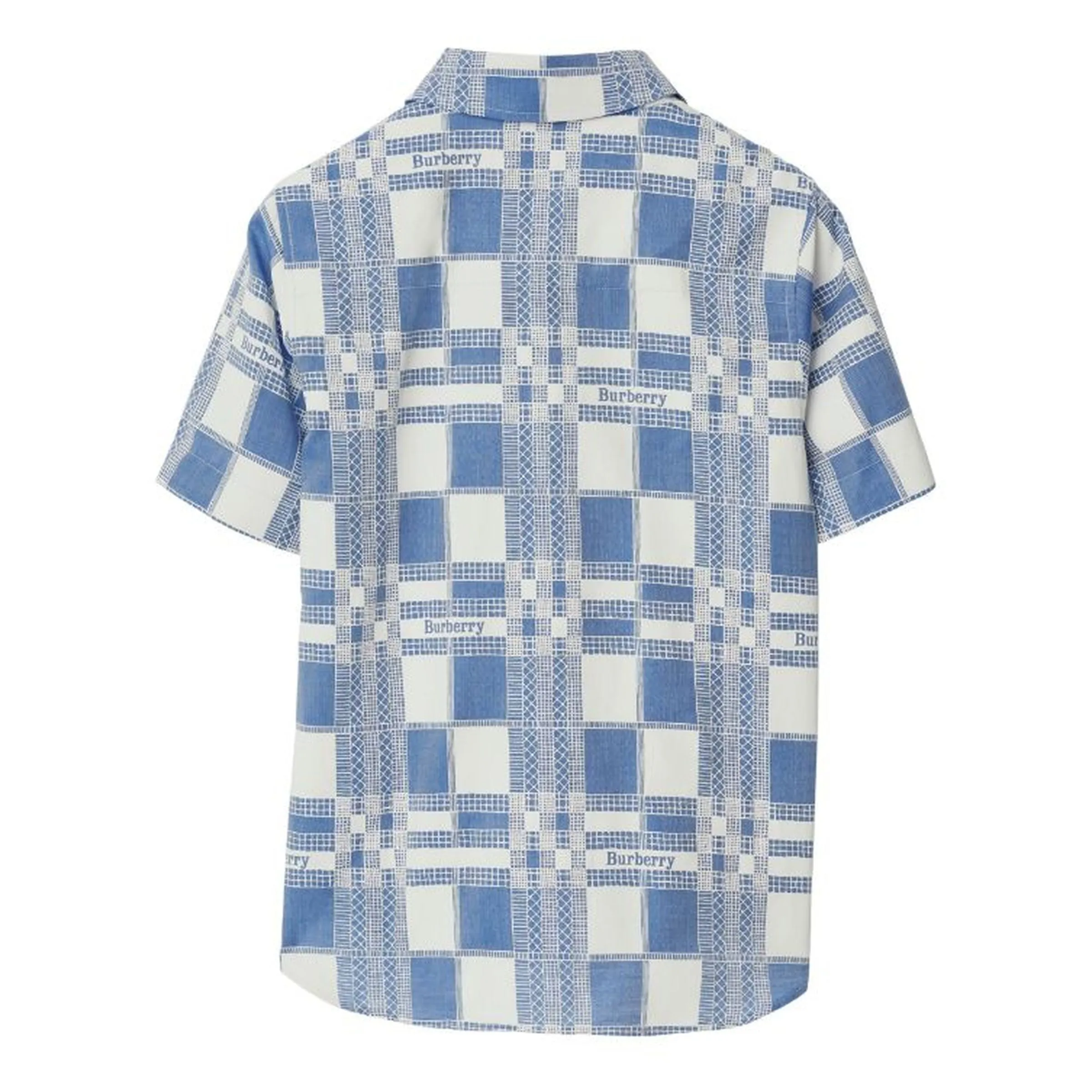 Pale Blue Shirt