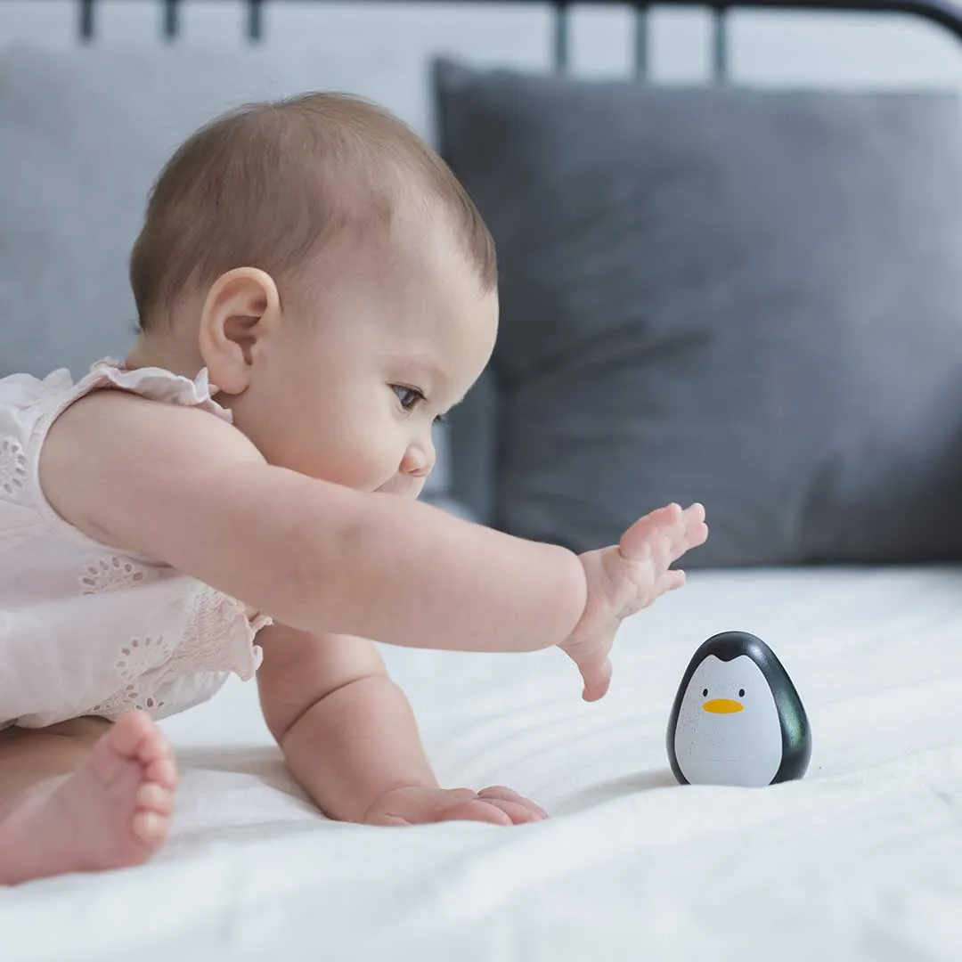 Plan Toys Penguin