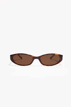 SILON TORTOISE