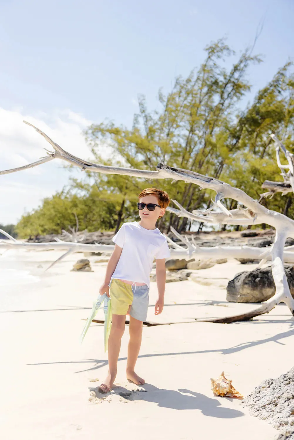 The Beaufort Bonnet Company Infant's Carter Crewneck - Worth Avenue White With Multicolor Stork