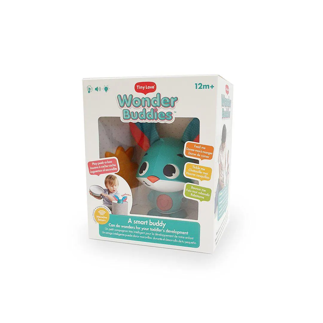 Tiny Love Wonder Buddy - Thomas