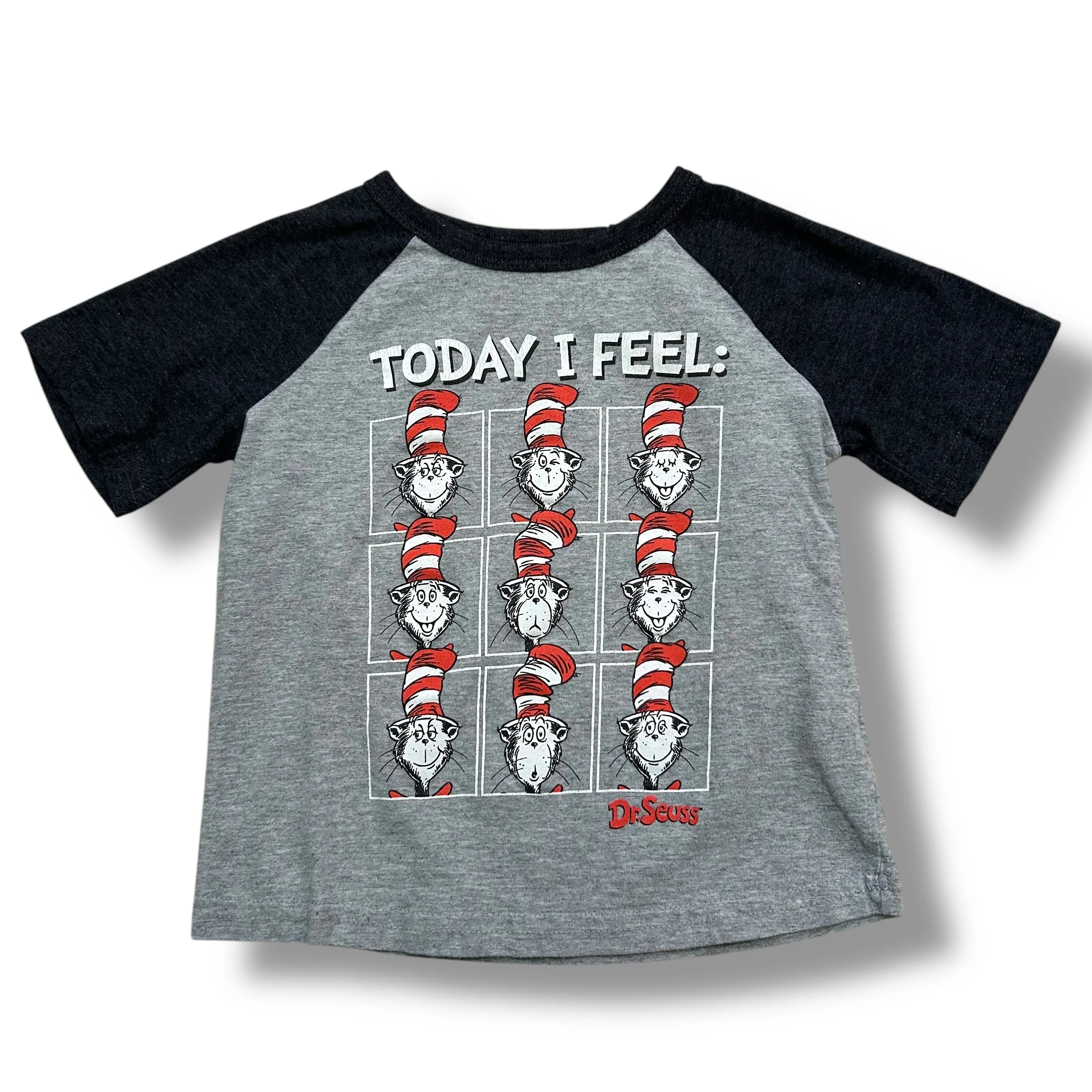 Toddler Boy Size 3T Gray Shirt Dr Seuss Cat in the Hat Tee