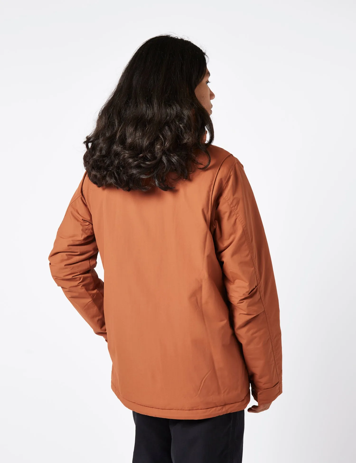 Top Rated Patagonia Isthmus Parka - Sisu Brown  Almost Sold Out!