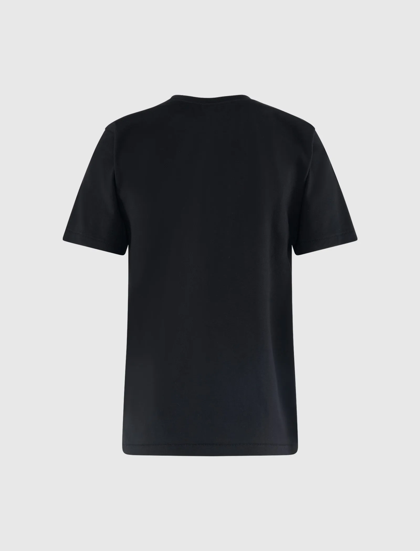 WOMEN'S GRADATION BIG BABY MILO TEE